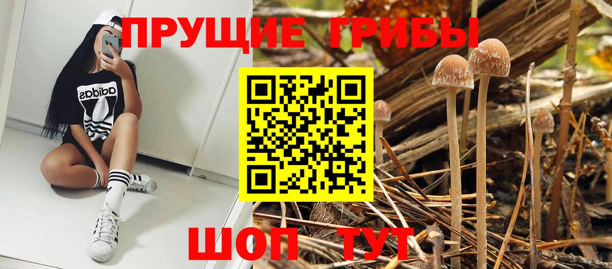 Каспийск  Галлюциногенные грибы Cubensis  Вход с VPN 