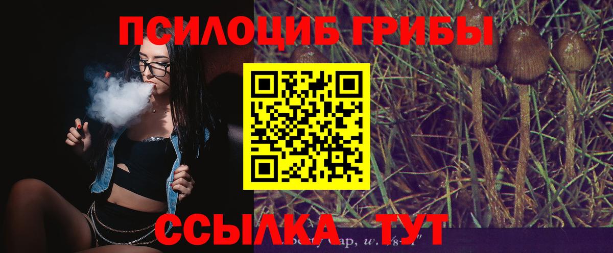 Псилоцибиновые грибы прущие грибы Каспийск